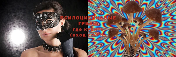 соль ск Абдулино