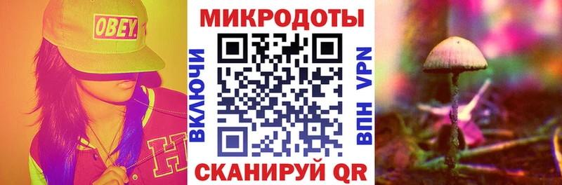 Галлюциногенные грибы Psilocybe  Галич 